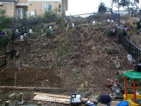 Alpine Garden