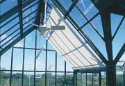 Roller Blinds